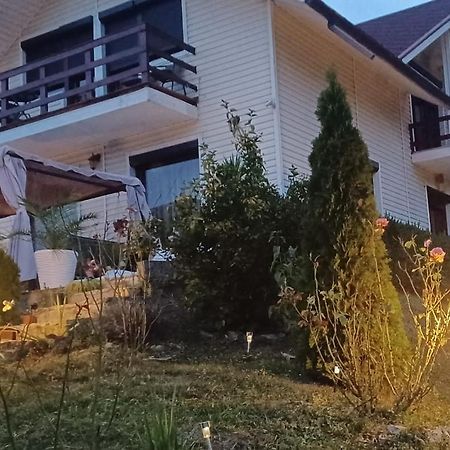 Casa Irina Villa Piatra Neamt Bagian luar foto