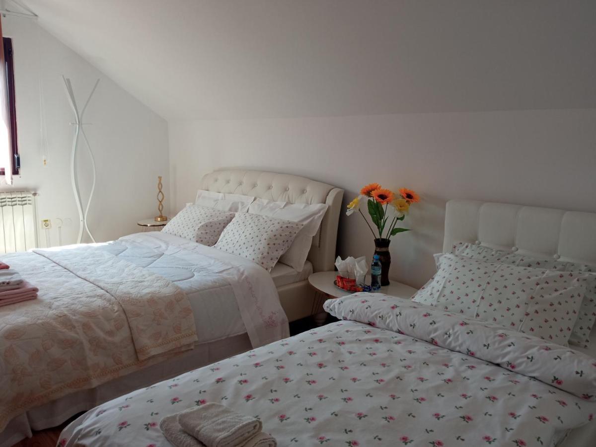 Casa Irina Villa Piatra Neamt Bagian luar foto
