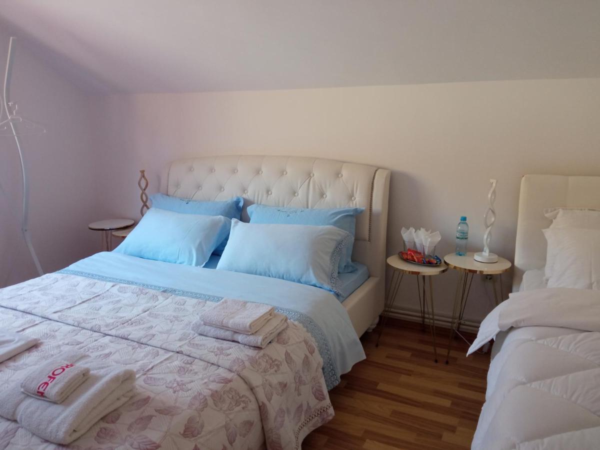 Casa Irina Villa Piatra Neamt Bagian luar foto