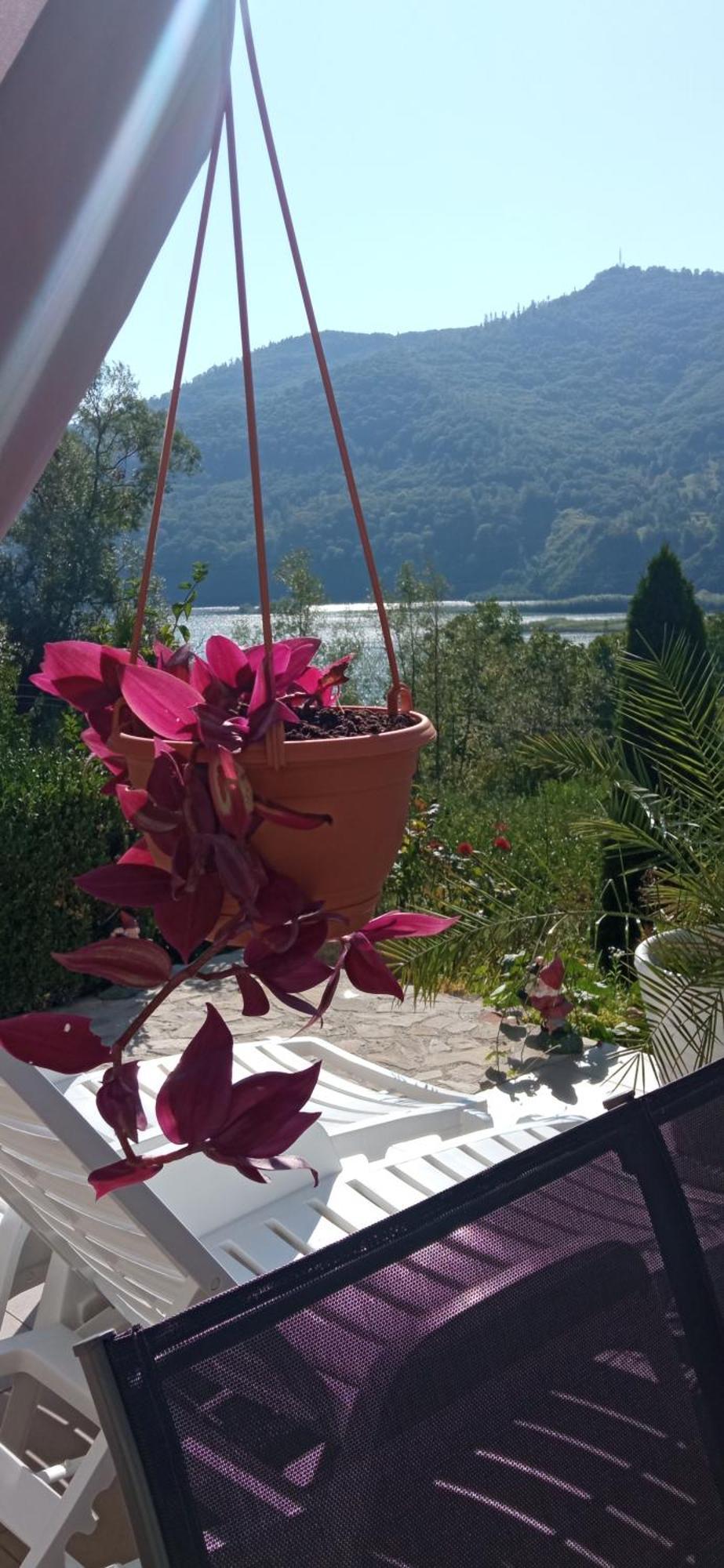 Casa Irina Villa Piatra Neamt Bagian luar foto
