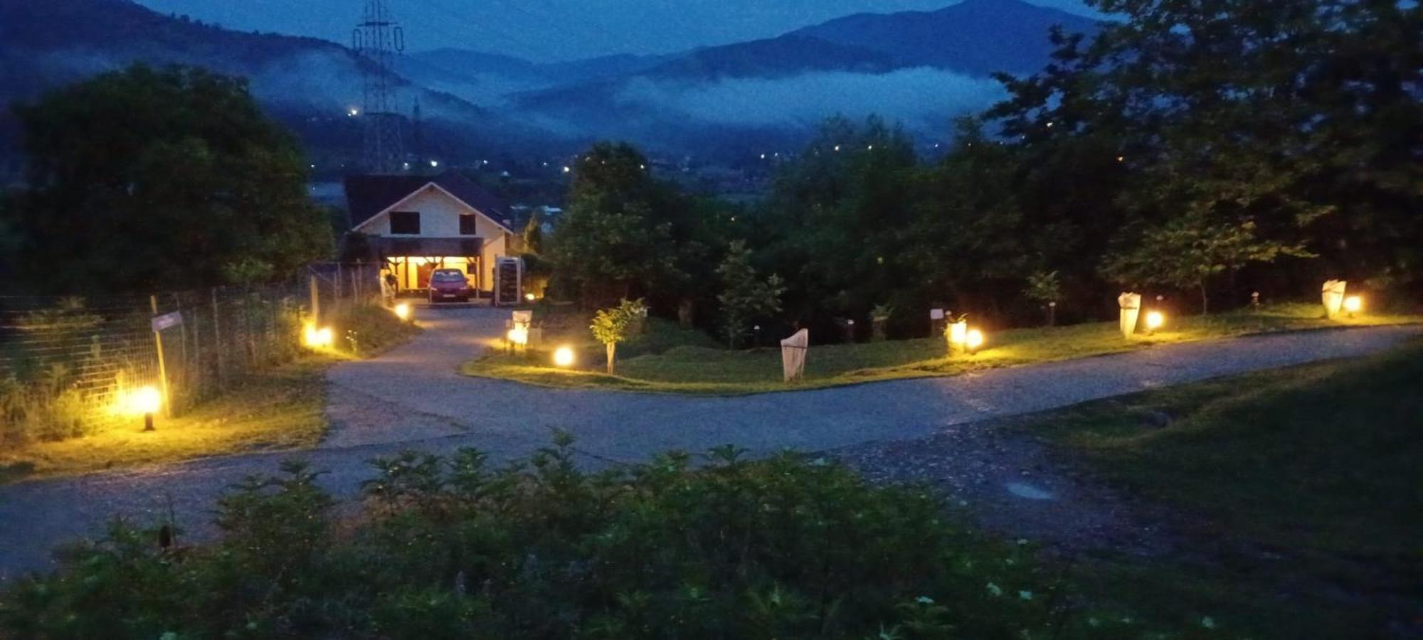 Casa Irina Villa Piatra Neamt Bagian luar foto