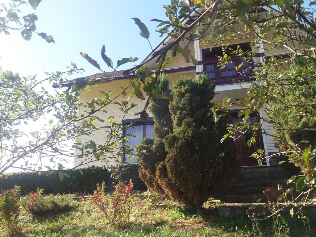 Casa Irina Villa Piatra Neamt Bagian luar foto