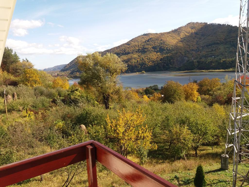 Casa Irina Villa Piatra Neamt Bagian luar foto