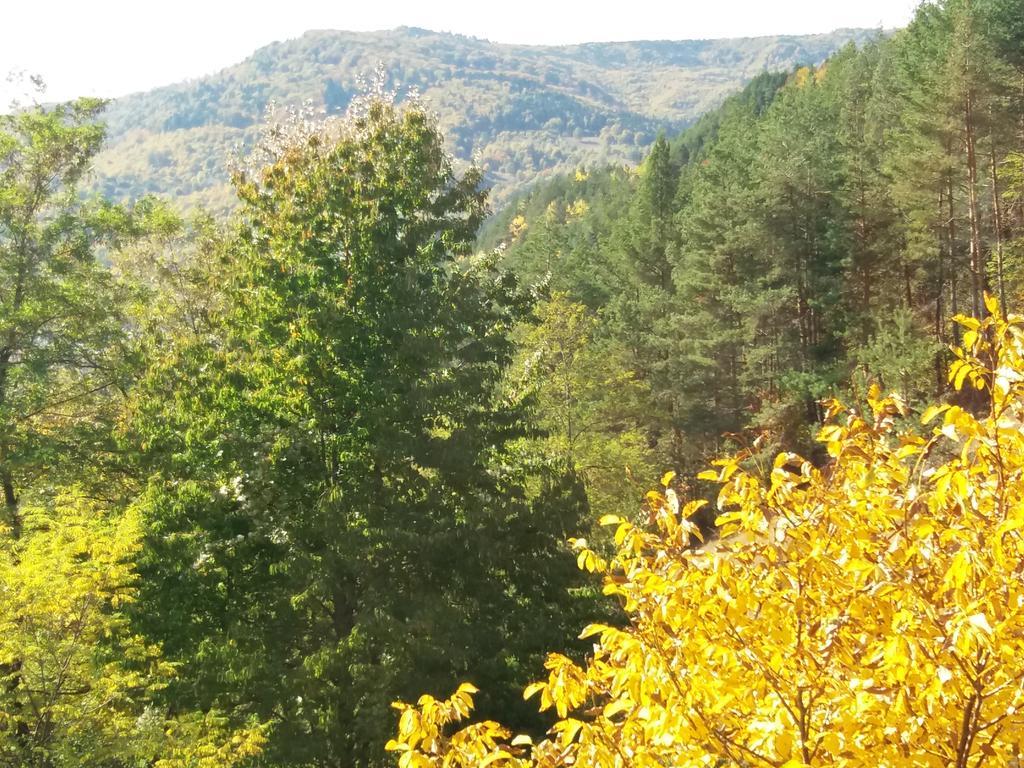 Casa Irina Villa Piatra Neamt Bagian luar foto