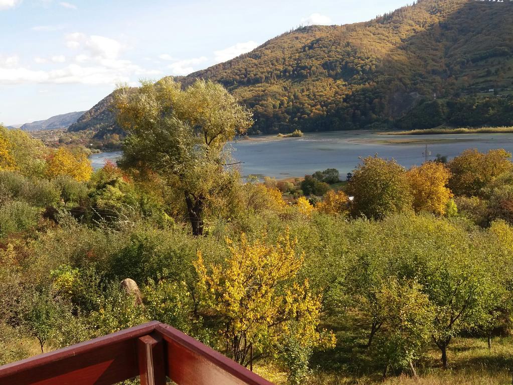 Casa Irina Villa Piatra Neamt Bagian luar foto