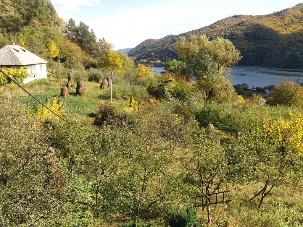 Casa Irina Villa Piatra Neamt Bagian luar foto