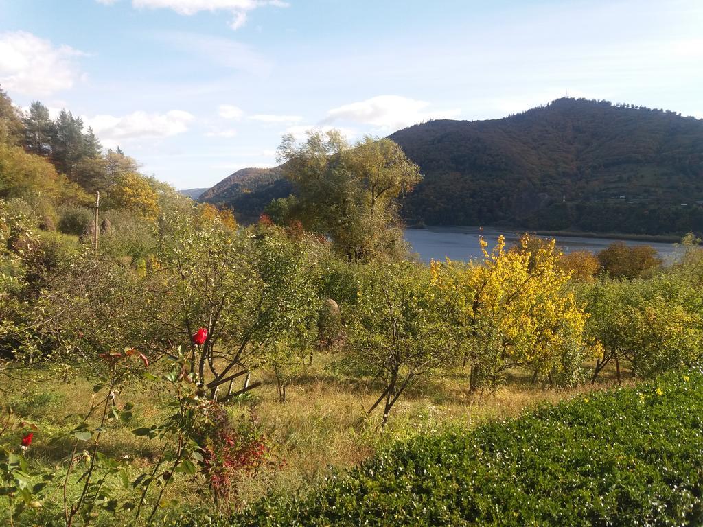 Casa Irina Villa Piatra Neamt Bagian luar foto