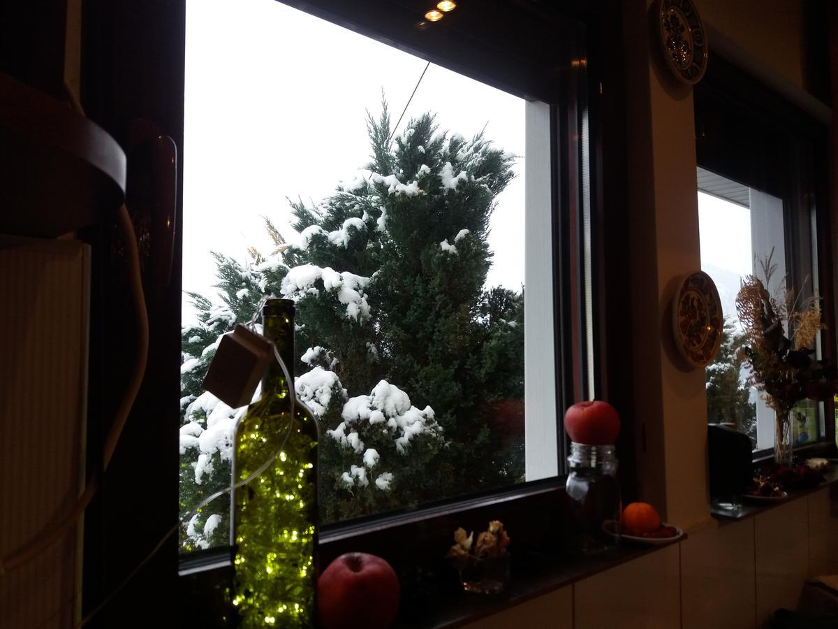 Casa Irina Villa Piatra Neamt Bagian luar foto