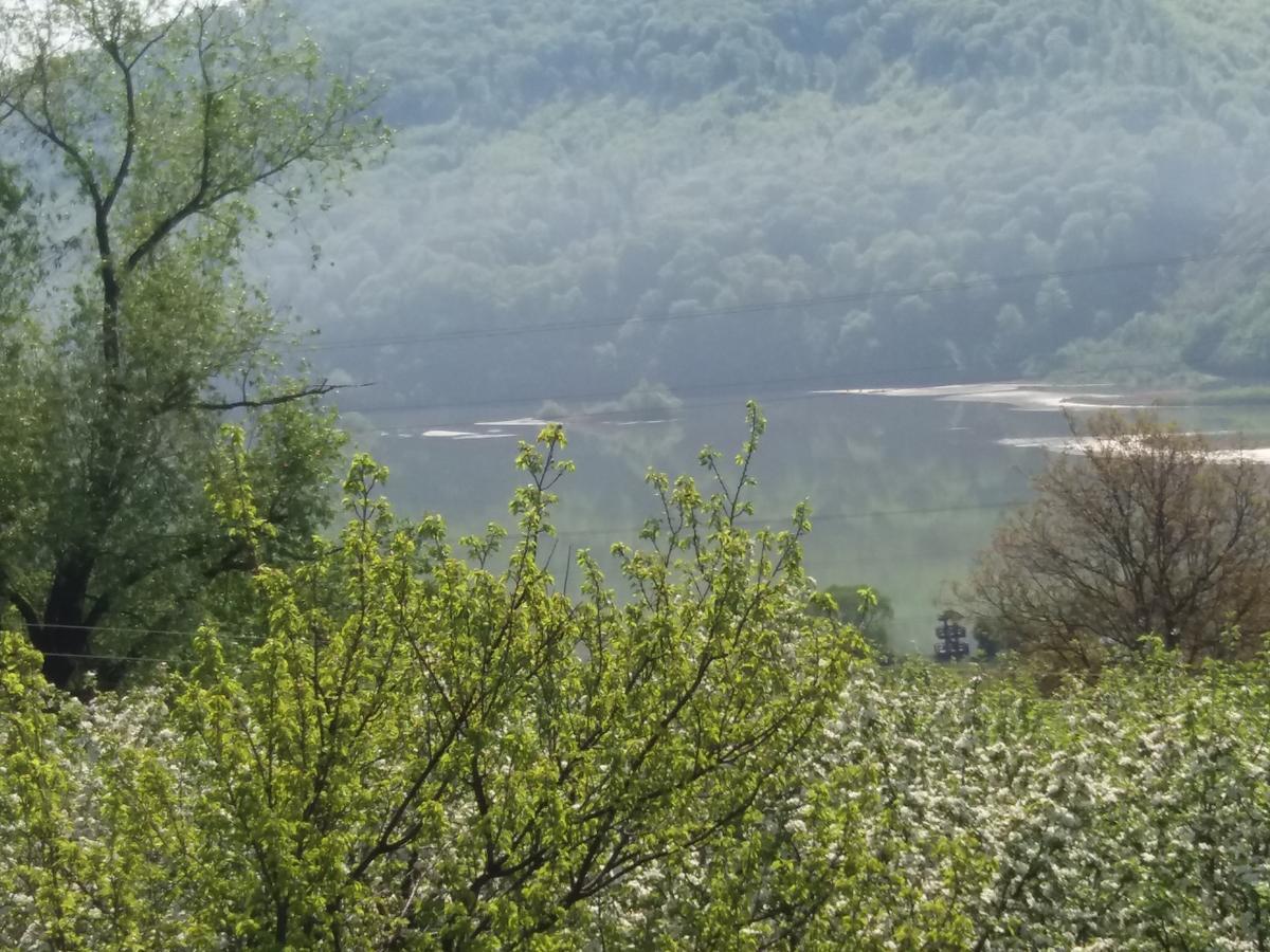 Casa Irina Villa Piatra Neamt Bagian luar foto