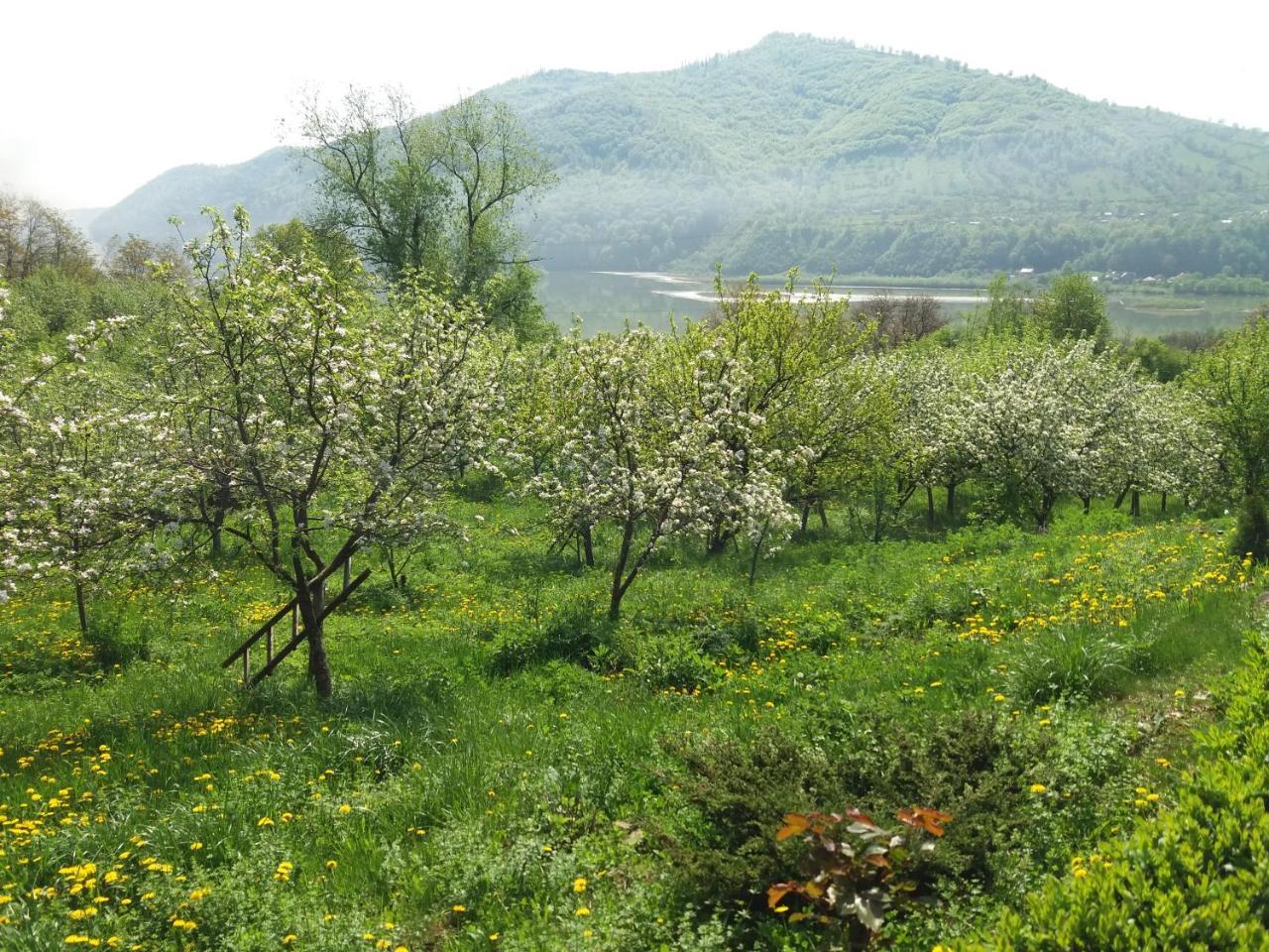 Casa Irina Villa Piatra Neamt Bagian luar foto